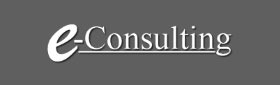 E-Consulting Network