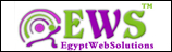 Egypt Web Solutions