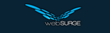 webSURGE Now